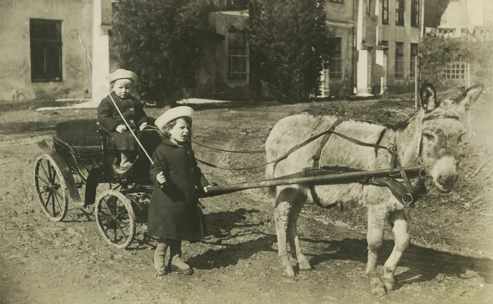 Children with a donkey cart, Rimini, 1924